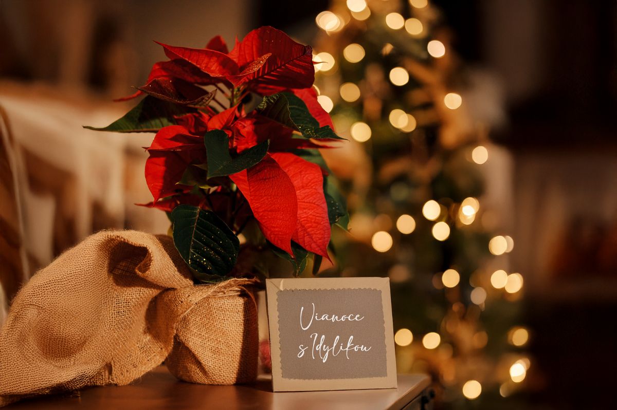 Rozdávame vianočné darčeky